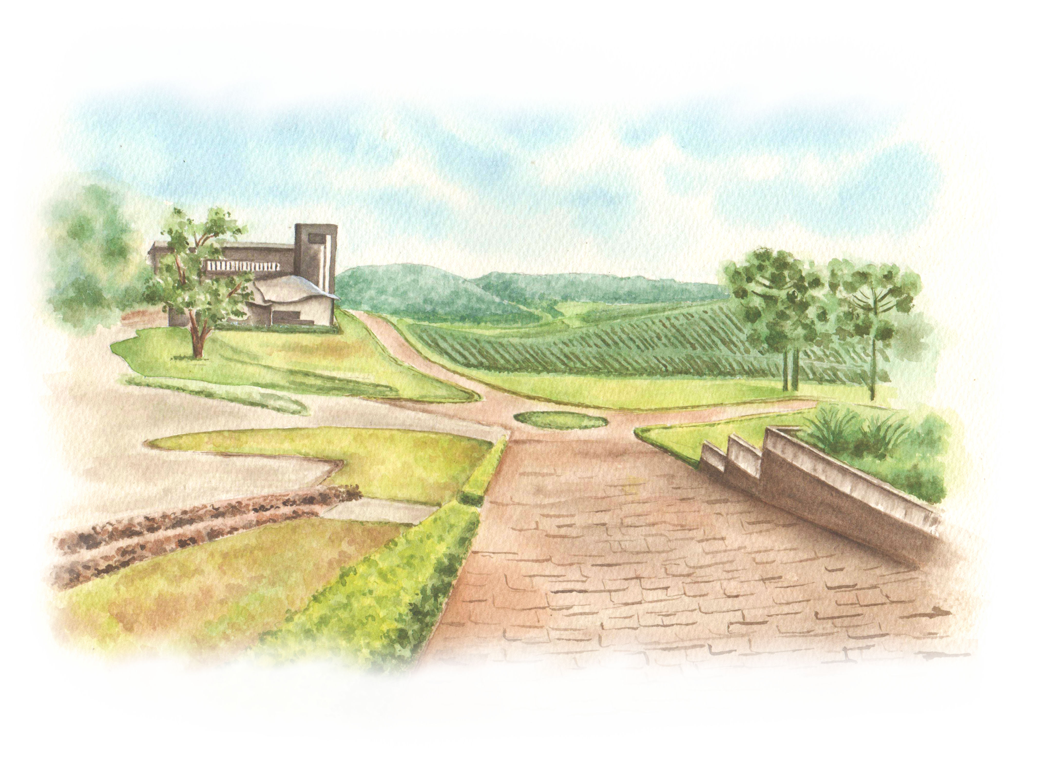 Aquarela